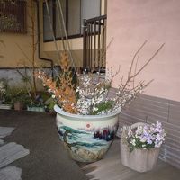季節の花々が出迎えてくれます♪