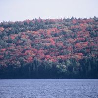 部屋から見えた風景