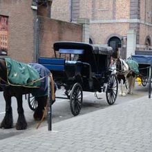 馬車がありました。