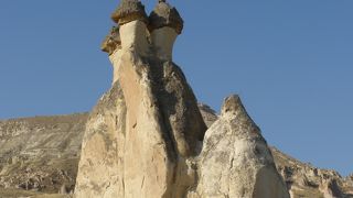 キノコたちがいっぱい