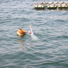 笑顔で手を振る海女さん
