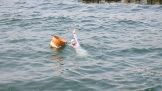 海女さんの実演