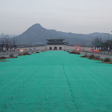 春先でしたので、このように養生中でした