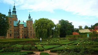 ☆庭を歩いてみて☆