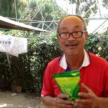 馴染みの骨董屋さん