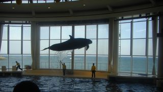 海のそばにある水族館