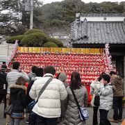 かつうらビックひな祭りの会場