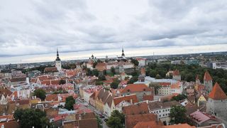 塔の上から旧市街を眺める