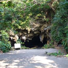 猫探し 八重山諸島 石垣島の猫 Cats In Ishigaki Is 編 石垣島 沖縄県 の旅行記 ブログ By 猫探しさん フォートラベル