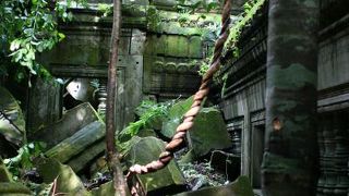 遠いですが行く価値があります