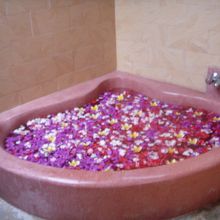 豪華なフラワーバス
