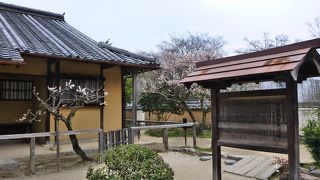 国指定重要文化財？