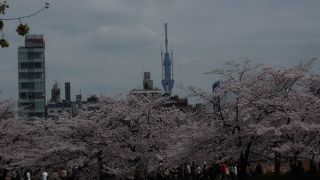 上野・御徒町の絶景ポイントはここ！