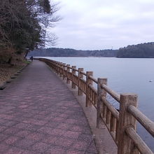 幅も広くて、歩き易い道です