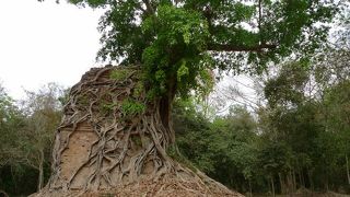 次の世界遺産候補！？　アンコールワットより古い遺跡　（シェムリアップから日帰りで行けます）