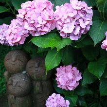 かわいらしい和み地蔵