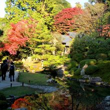 一幅の絵の様に美しい