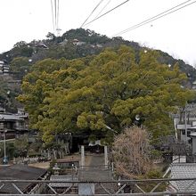 艮神社の上をのぼる