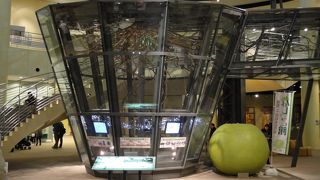 派手さはなく、ﾛ-ｶﾙですが楽しめる場所です。