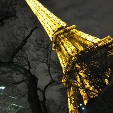 ライトアップは、キラキラ輝くバージョンもある