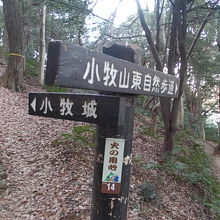 静かな散策が楽しめる遊歩道