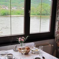 テーブルからドナウの流れが見えます。