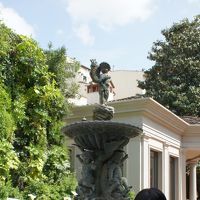 庭もきれいで鳥の鳴き声が聞こえます。