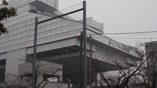 見所が多い巨大な博物館です