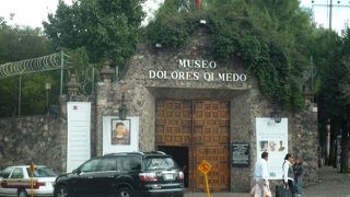 鳥がいっぱい。