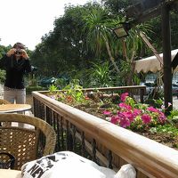 ホテルの周辺です