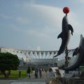 マリンワールド海の中道