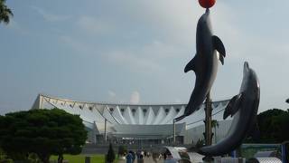 マリンワールド海の中道