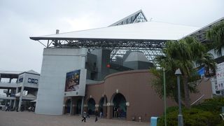 1日中楽しめます