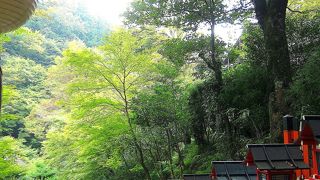 まさに水の神様。是非ぷらぷらお散歩しながらお参りしてみてください♪