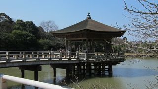 穴場中の穴場・憩いの場