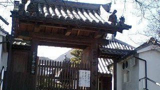 寒牡丹のお寺！