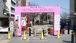 隅田公園に恒例の桜祭りの看板ができました、浅草寺が好き！の巻