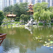 公園内の一角にある施設だが意外と本格的な中国庭園