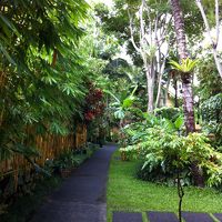 敷地内です。自然のマイナスイオン