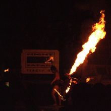 動物ショーよりも子供に好評なトライバルダンスショー。