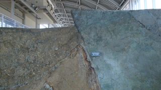 阪神淡路大震災でできた断層を保存