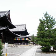 臨済宗妙心寺派の大本山