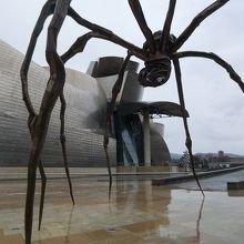 MAMも古くならない・・・本物同士か