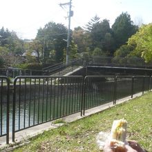 疎水を見ながらピクニック