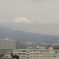 温泉に入りながら富士山が見える（のは男性だけだけど）ドーミーイン三島
