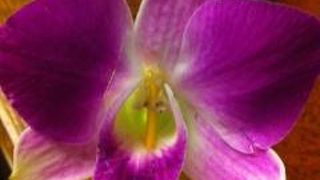 観光地です・・・