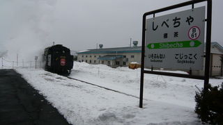 冬の釧路湿原を走るSL列車
