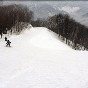 3月中旬の宝台樹スキー