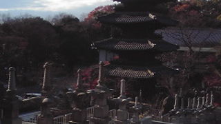 都市部の中の静寂