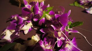 無料レイメイキングがおすすめ